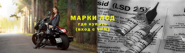spice Кулебаки