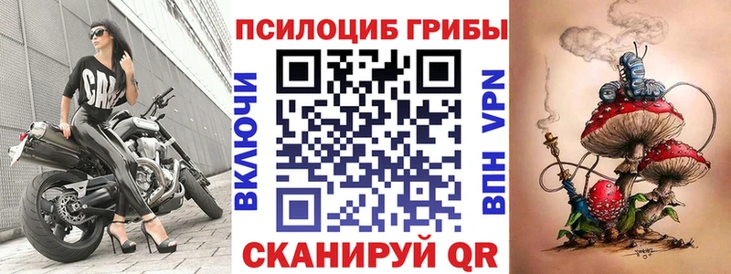 Псилоцибиновые грибы мухоморы  blacksprut как войти  Далматово 